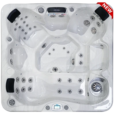 Avalon-X EC-849LX hot tubs for sale in Eauclaire
