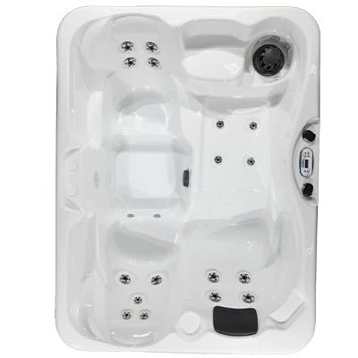 Kona PZ-519L hot tubs for sale in Eauclaire