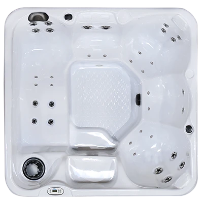 Hawaiian PZ-636L hot tubs for sale in Eauclaire
